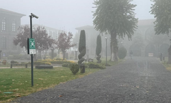 Diyarbakır’da sisle birlikte kartpostallık manzaralar