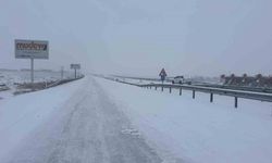 Diyarbakır'da yoğun kar yağışı hayatı felç etti