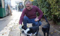 Diyarbakır’daki çaycı 30 yıldır çalıştığı duraktaki kedileri besliyor