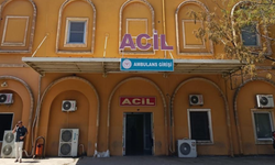 Mardin’de tırın çarptığı yaşlı kadın hayatını kaybetti