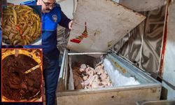 Mide bulandıran manzara: Dönerciden kurtlu salça ve turşu çıktı