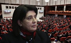 Bursaspor tribünlerindeki ırkçı sloganlar Meclis’e taşındı