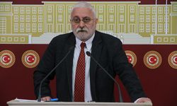 DEM Parti'li Oluç: Suriye’den olumlu bilgiler geliyor