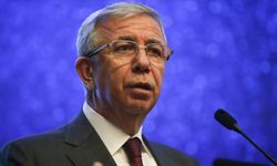 Togo Kuleleri gerginliği büyüyor: ABB, müfettiş atamasına itiraz etti