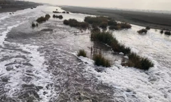 Uzmanlardan Dicle Nehri uyarısı: Kirlilik artıyor