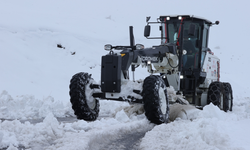Van ve Hakkari’de çok sayıda yerleşim yerine ulaşım sağlanamıyor