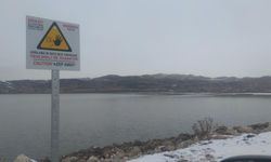 Van’da sahibinin elinden kaçan inek gölette telef oldu