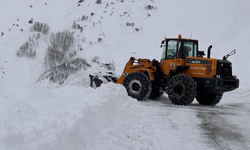 5 ilde kar engeli: 1119 yerleşim yerinin yolu kapandı