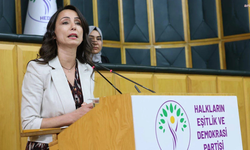 DEM Parti Heyeti Rojava’ya gitme kararı aldı