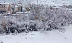 Diyarbakır, yeniden beyaza büründü