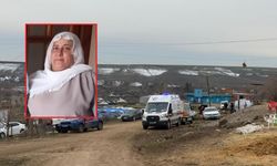 Diyarbakır’da şizofreni hastası kadından 3 gündür haber alınamıyor