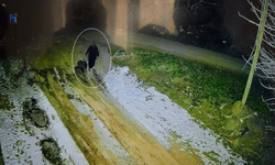 Diyarbakır’da kayıp kadının son görüntüleri ortaya çıktı