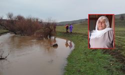 Diyarbakır’da Nimet Kılıç 10 gündür kayıp!