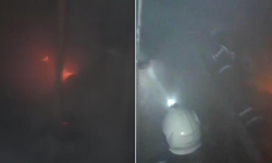 Diyarbakır’da odunluk yangınında güvercinler telef oldu