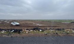 Diyarbakır’da otomobil tarlaya uçtu
