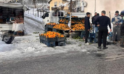 Diyarbakır’da soğuk hava pazarı durma noktasına getirdi