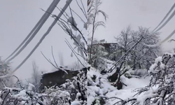 Diyarbakır’da yoğun kar elektrik direklerini devirdi