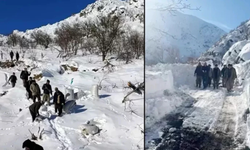 Hakkari’de çığ felaketi: Ahırlar yıkıldı, 120 keçi telef oldu