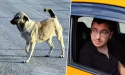 Köpekleri istismar eden doktorun davası yeniden başlıyor