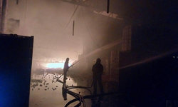 Elazığ’da güvercinler donarak telef oldu