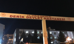 Mardin'de 14 yaşındaki kız çocuğu evde ölü bulundu