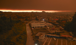 Orman yangınları 18 can aldı