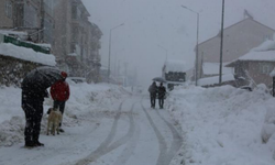 Tunceli’de kar ve buzlanma nedeniyle okullar tatil