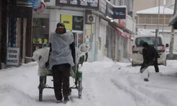 Van'da 287 yerleşim yeri ulaşıma kapandı