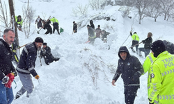 Van’da çığın altında kadın hayatını kaybetti