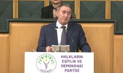 Bakırhan’dan Meclis’te umut hakkı ve Kürt hakları vurgusu