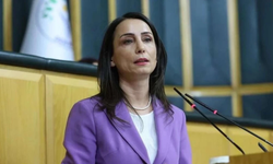 DEM Parti’den Fidan’ın açıklamasına tepki