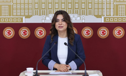 DEM Parti’den Meclis’e hızlı yasa çağrısı