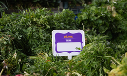 Diyarbakır semt pazarlarında Kürtçe fiyat etiketleri