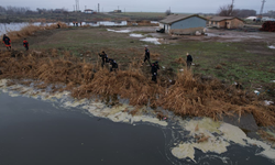 Diyarbakır’da kayıp kadını bulmak için her yol deneniyor 11 gündür iz yok