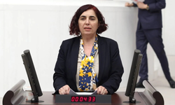 Diyarbakır’daki çevre sorunları meclis gündeminde