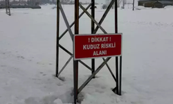 Hakkari’de eşekte kuduz tespit edildi, köy karantinaya alındı