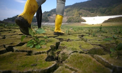 İklim dezenformasyonu küresel tehdit haline geldi