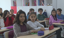 Sivil toplumdan Kürtçe ders için çağrı