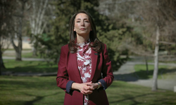 DEM Parti’den Newroz çağrısı: “Alanlarda buluşalım”