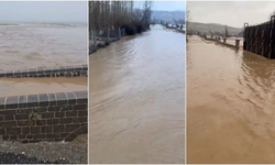 Diyarbakı’da sağanak sele neden oldu: 45 koyun telef