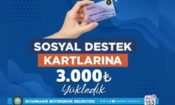 Diyarbakır'da 10 bin 793 kişiye bayram öncesi destek ödemesi