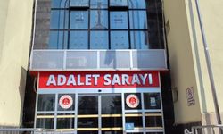 Diyarbakır'da 35 yıllık dava sosyal medya ile çözüldü: Mahkeme Hindistan'daki davalıya ulaştı