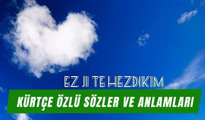 Arkadaşa, Sevgiliye ve Sosyal Medyada Kullanılabilecek Kürtçe Güzel Biyografi Sözleri