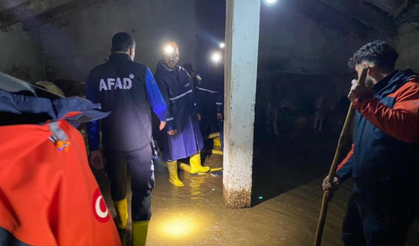 Ağrı'da karlar eridi, mahalle sular altında kaldı