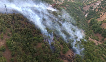 Bingöl’de orman yangını: Ekipler müdahale ediyor