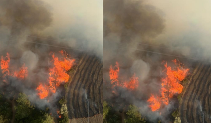 Adana’da orman yangınına 71 araç ve 182 personelle müdahale
