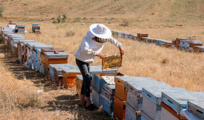 Bingöl arıcılarından çağrı: Jeotermal çalışması durdurulsun