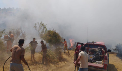 Bingöl’deki orman yangını kontrol altında