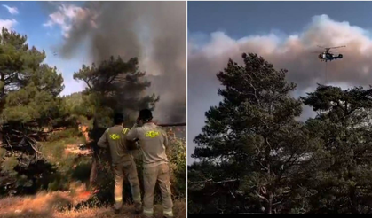 Mersin ve Hatay’da orman yangınları devam ediyor