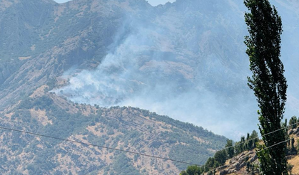 Şırnak’taki orman yangınına karadan ve havadan müdahale